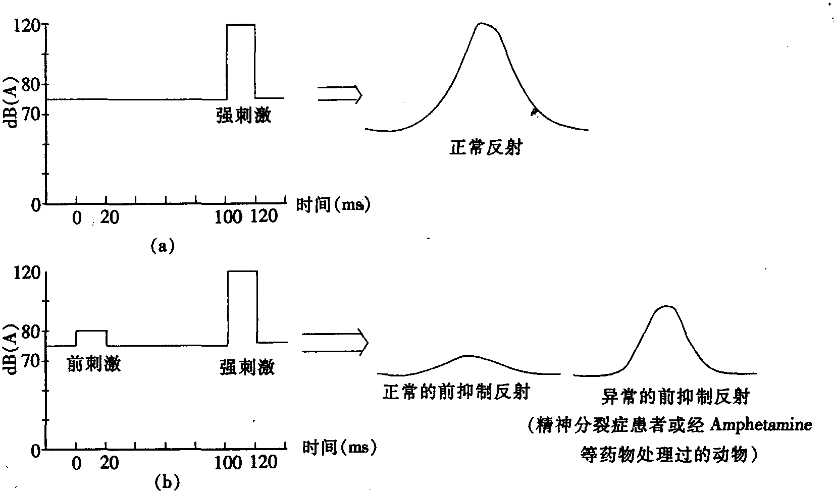 第三節(jié) 精神分裂癥聽覺運(yùn)動(dòng)門控障礙動(dòng)物模型